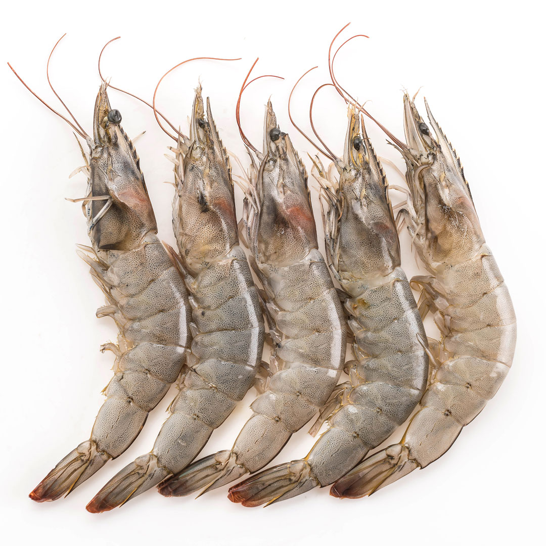 Buyer Partner for Seafood Supply from Indian Subcontinent